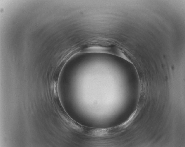 X0000080710094200612221153