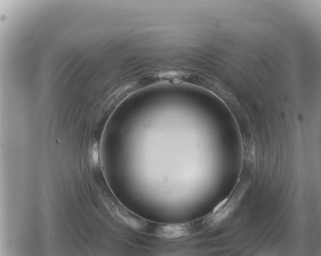 X0000080710095200612221153