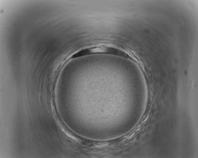 X0000080710097200612221153