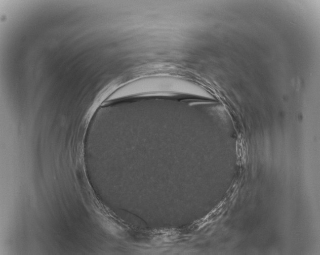 X0000080710099200612221153