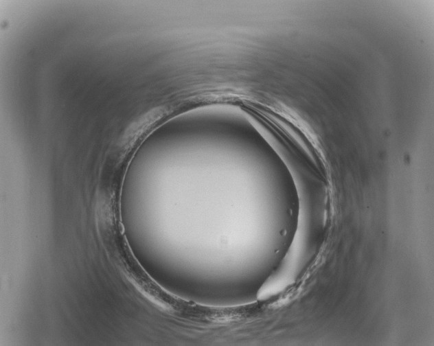 X0000080710105200612221153