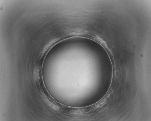 X0000080710106200612221153