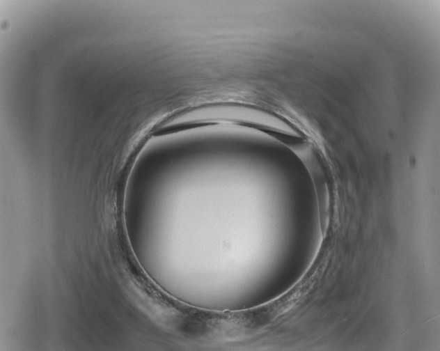 X0000080710107200612221153