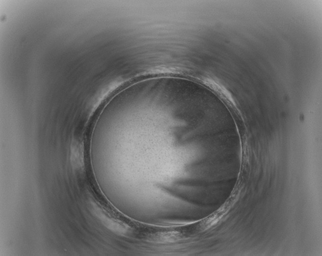 X0000080710108200612221153