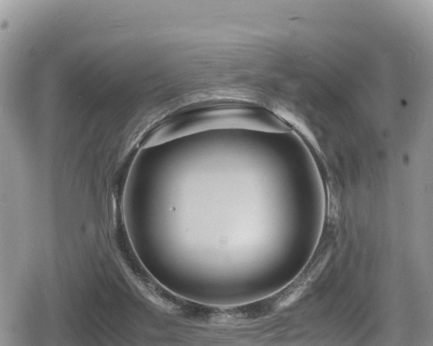 X0000080710109200612221152