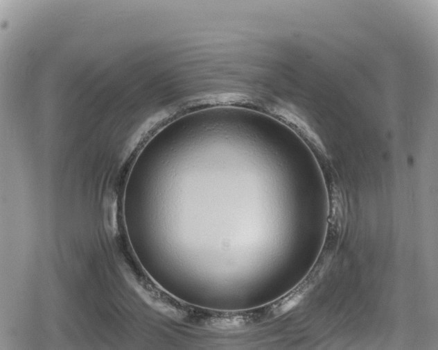 X0000080710110200612221152