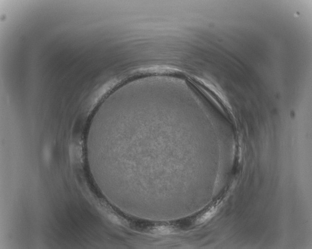 X0000080710111200612221152