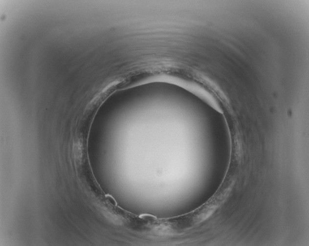 X0000080710113200612221152