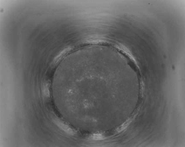 X0000080710114200612221152