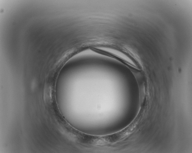 X0000080710115200612221152