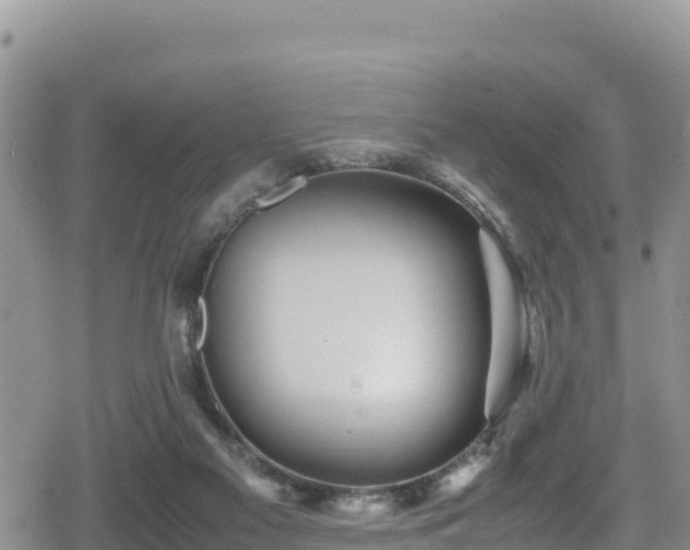 X0000080710117200612221152