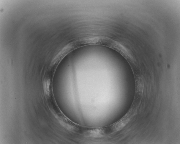 X0000080710118200612221152