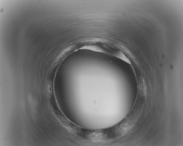 X0000080710119200612221152