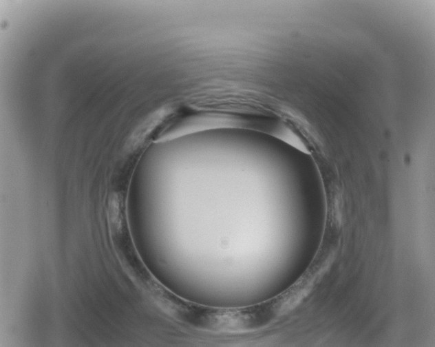 X0000080710121200612221152