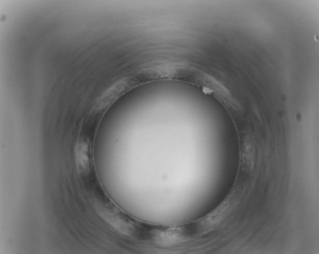 X0000080710122200612221152