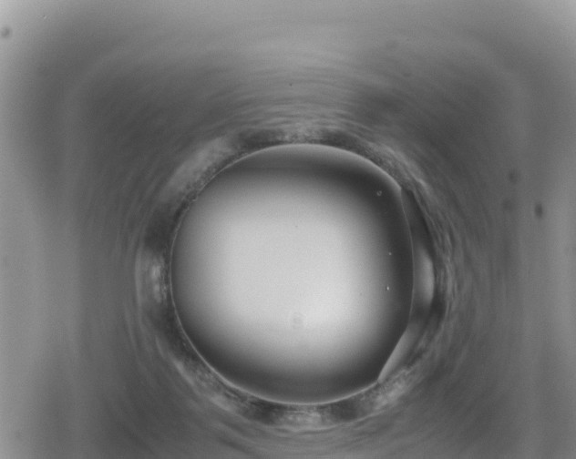 X0000080710123200612221152