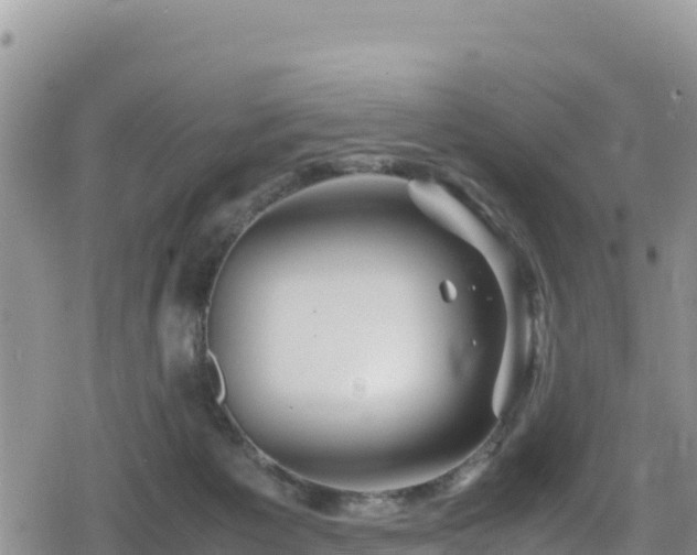 X0000080710125200612221152