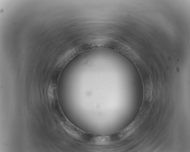 X0000080710126200612221152