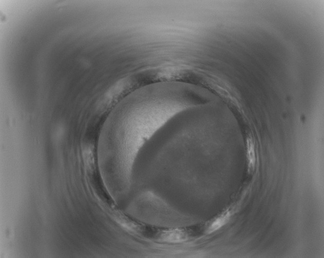 X0000080710127200612221152