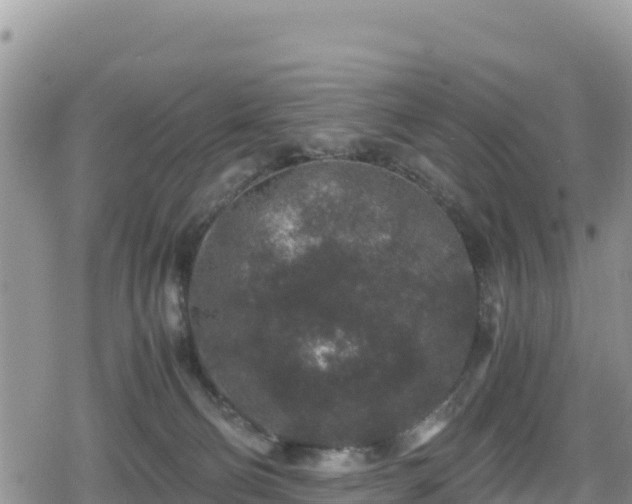 X0000080710130200612221152