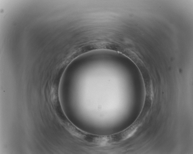 X0000080710131200612221152