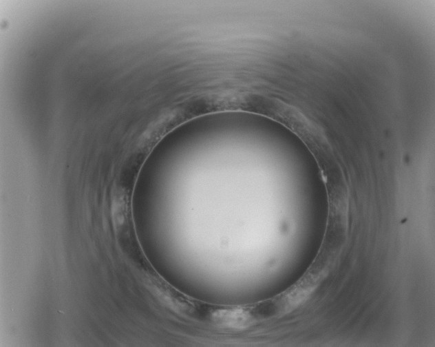 X0000080710133200612221152