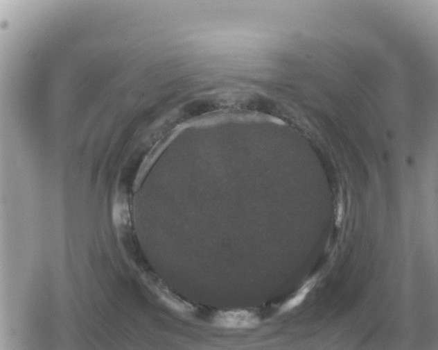 X0000080710137200612221152