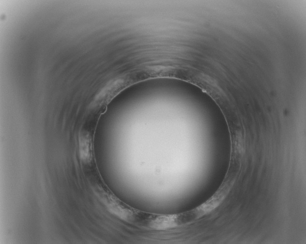 X0000080710138200612221152