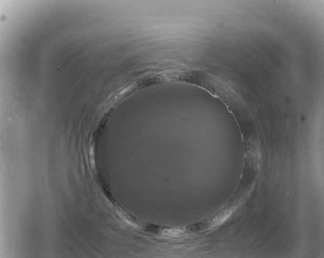 X0000080710139200612221152