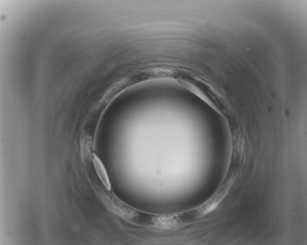 X0000080710141200612221152