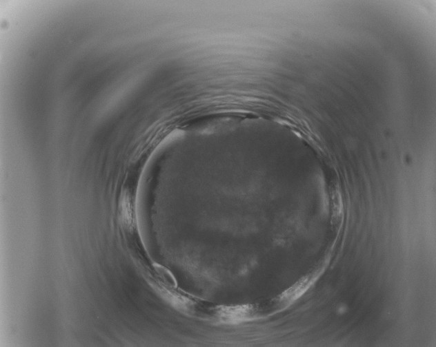 X0000080710143200612221152