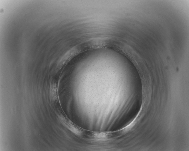 X0000080710144200612221152