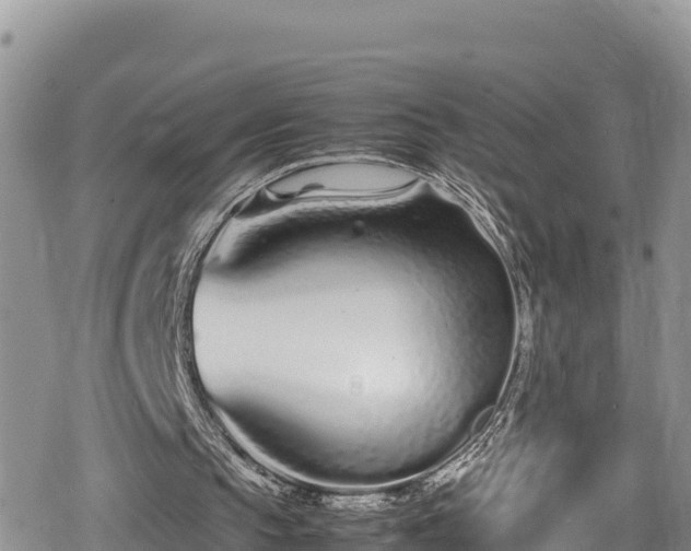 X0000080710145200612221151