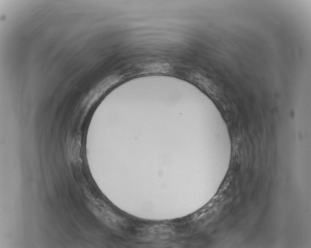 X0000080710146200612221151