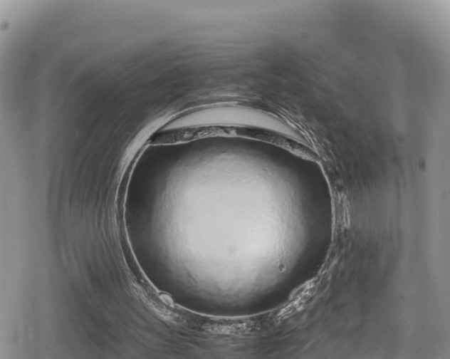 X0000080710147200612221151