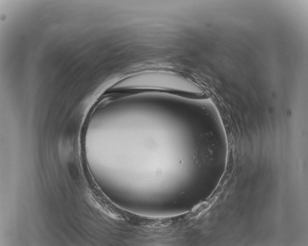 X0000080710148200612221151