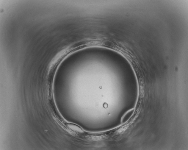 X0000080710149200612221151