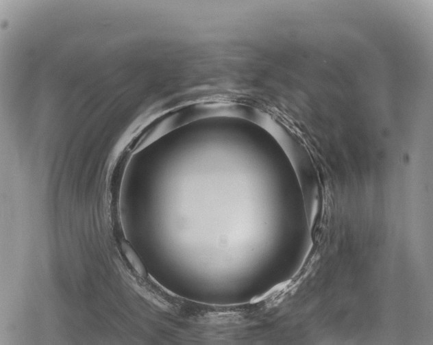 X0000080710150200612221151