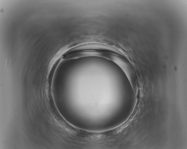 X0000080710152200612221151