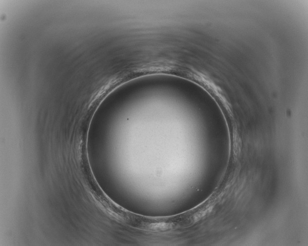 X0000080710153200612221151