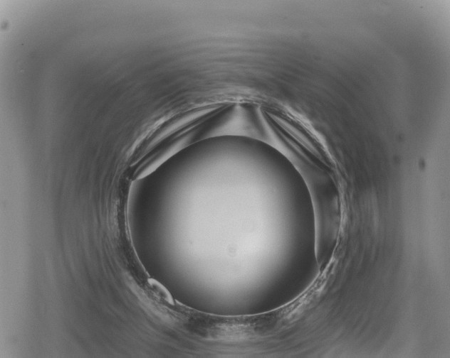 X0000080710154200612221151