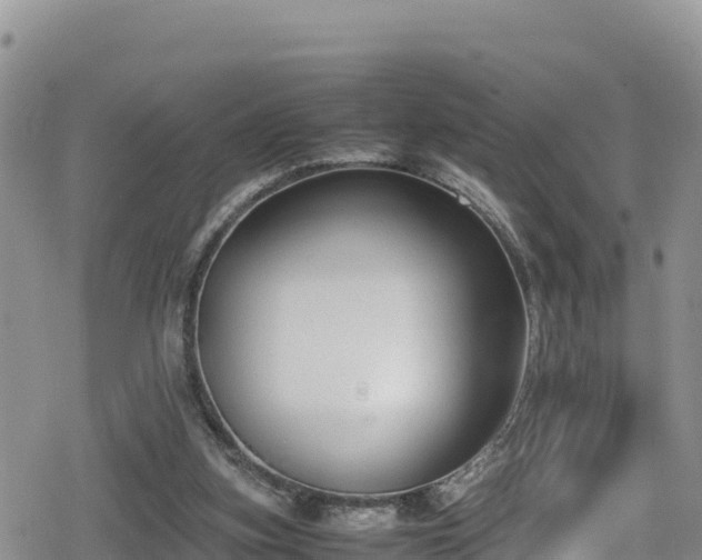 X0000080710155200612221151