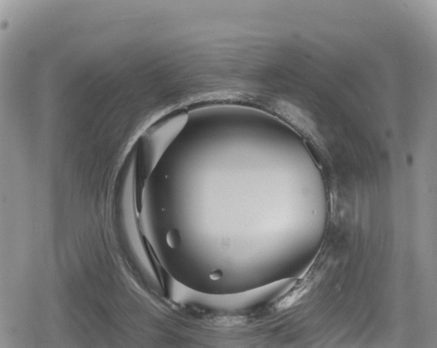 X0000080710156200612221151