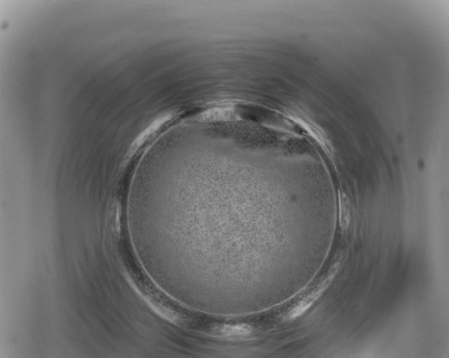 X0000080710157200612221151