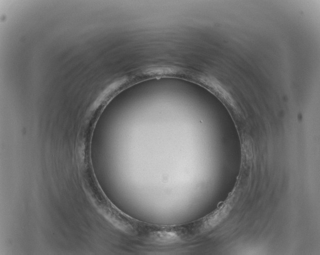 X0000080710159200612221151