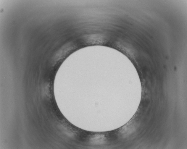 X0000080710162200612221151