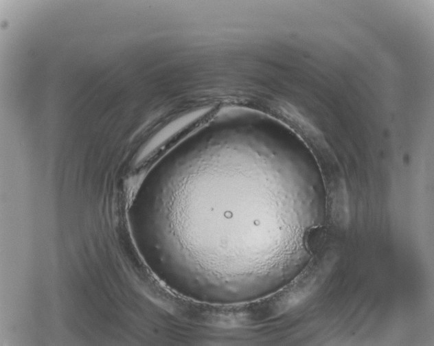 X0000080710165200612221151