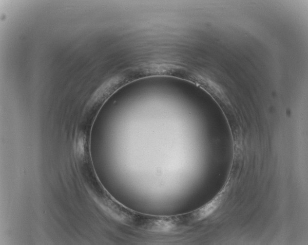 X0000080710166200612221151