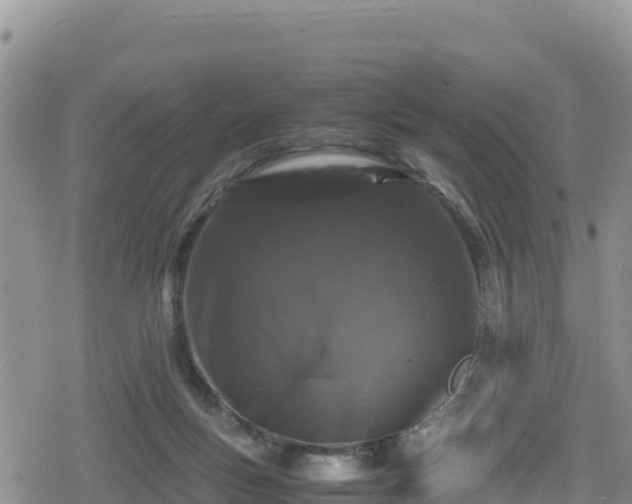 X0000080710167200612221152