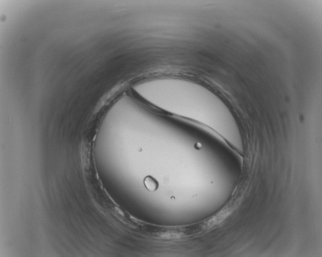 X0000080710168200612221152